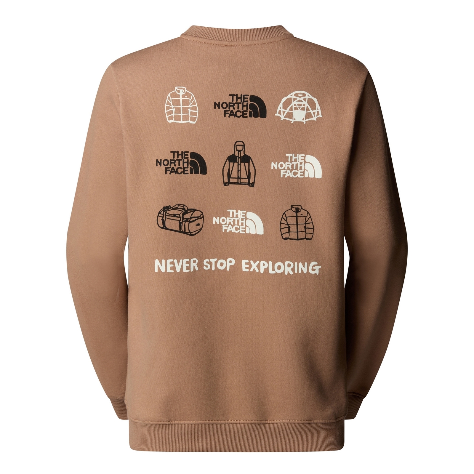 Bluza damska The North Face OUTDOOR GRAPHIC brązowa NF0A8C246IH
