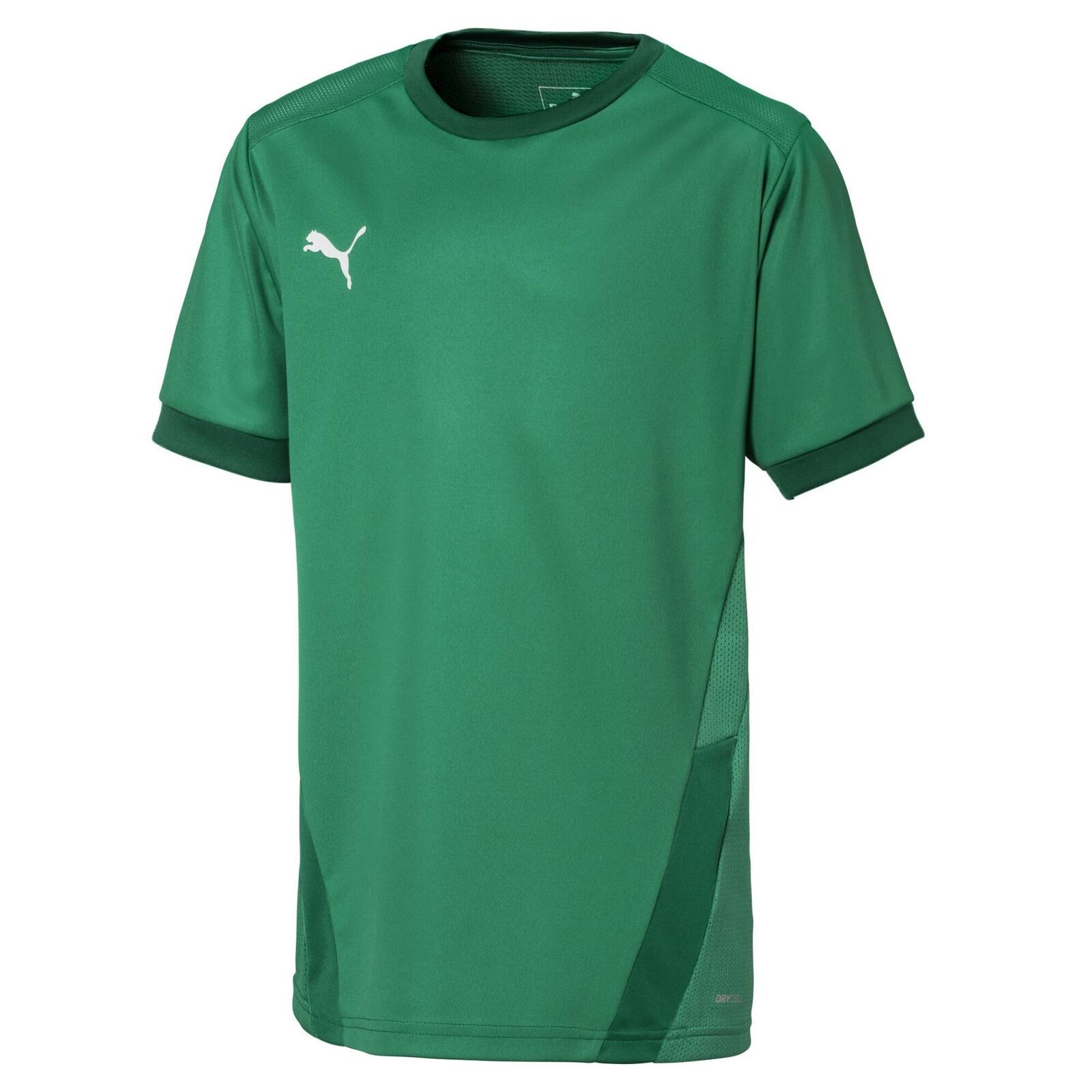 Koszulka chopica Puma TEAMGOAL 23 JERSEY zielona 70416005