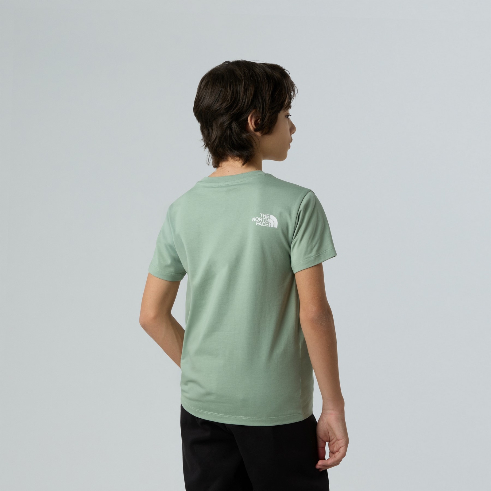 Koszulka dziecięca The North Face S/S SIMPLE DOME zielona NF0A87T4BQ1