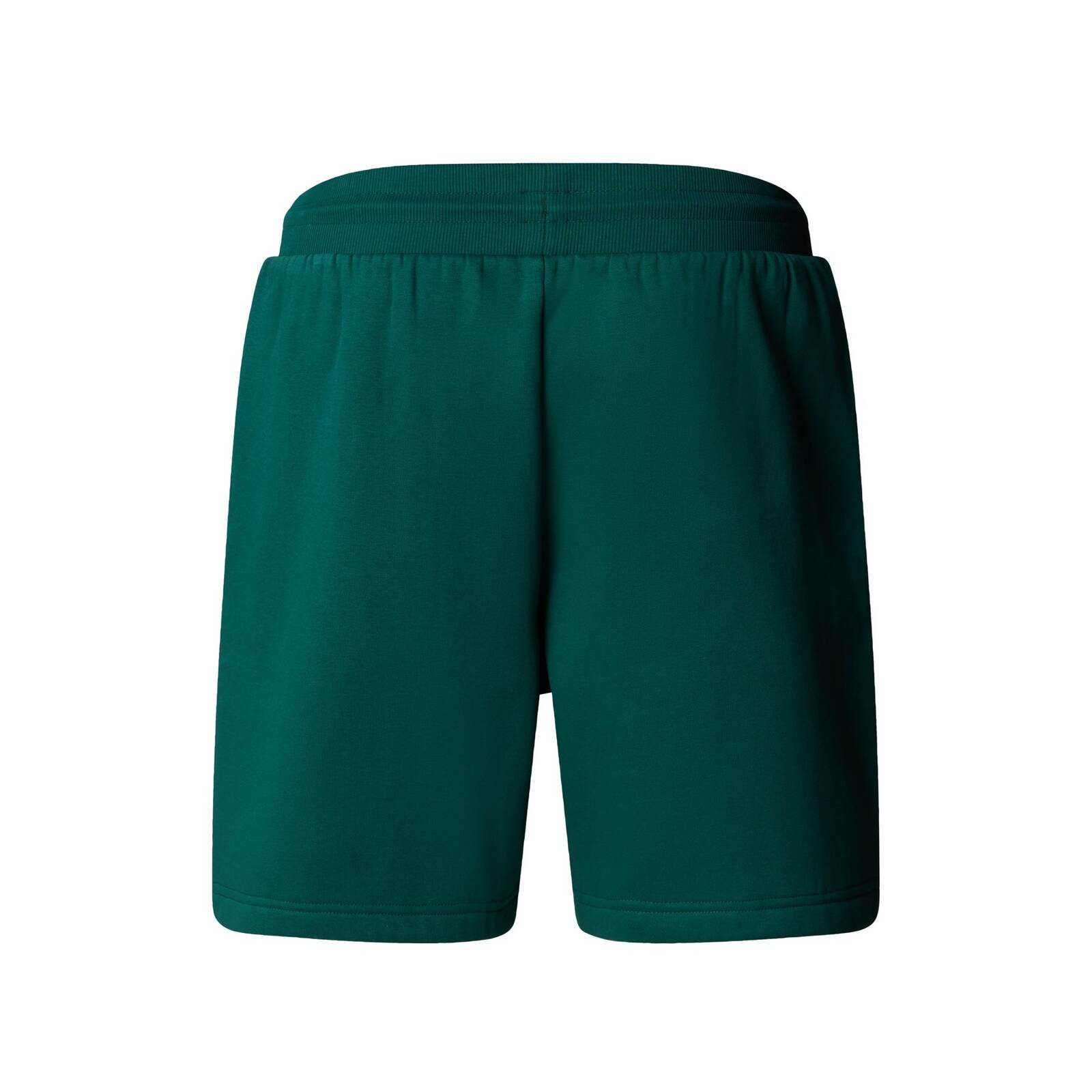 Szorty męskie The North Face BOX NSE REGULAR zielone NF0A8C1JA1B