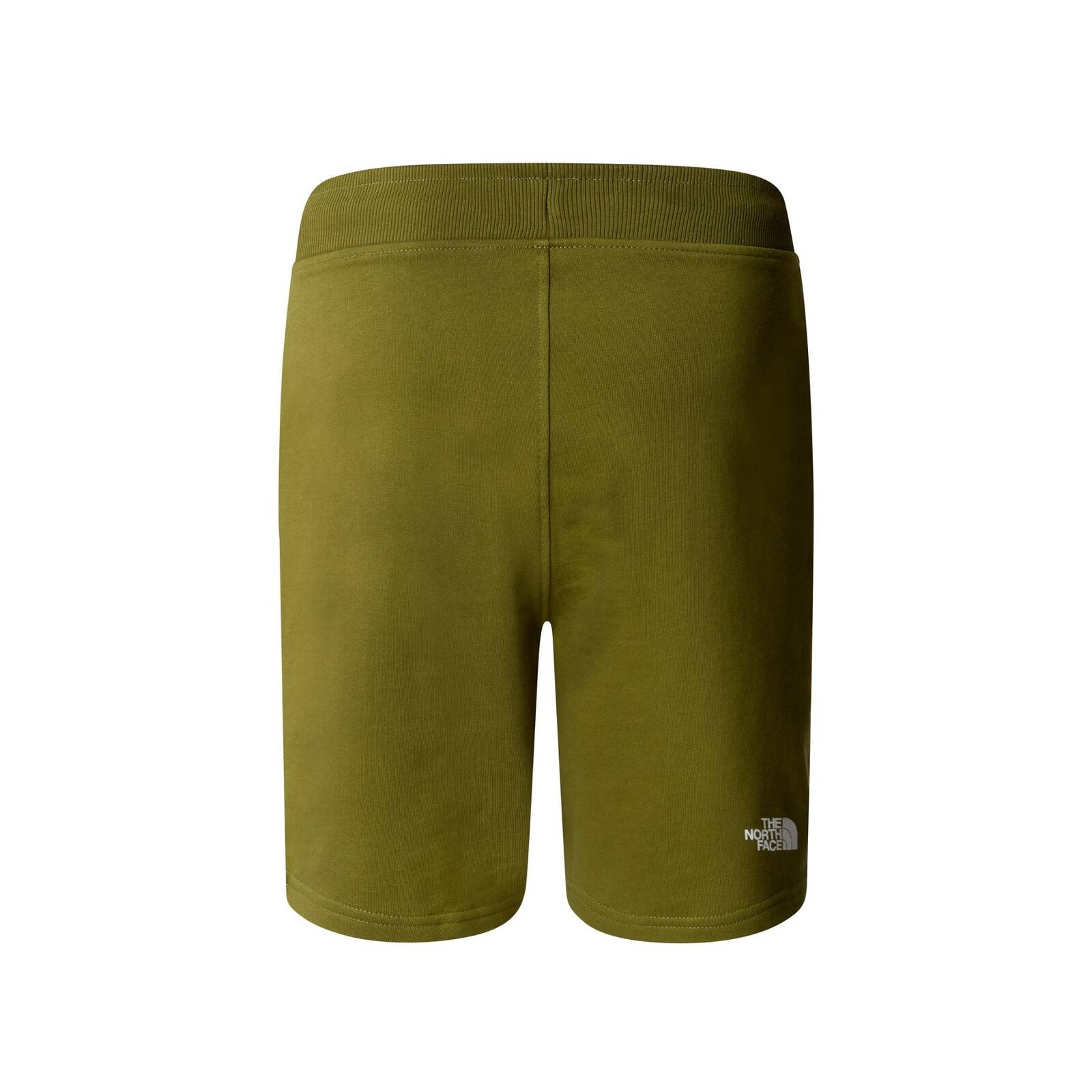 Spodenki męskie The North Face STANDARD zielone NF0A3S4EPIB