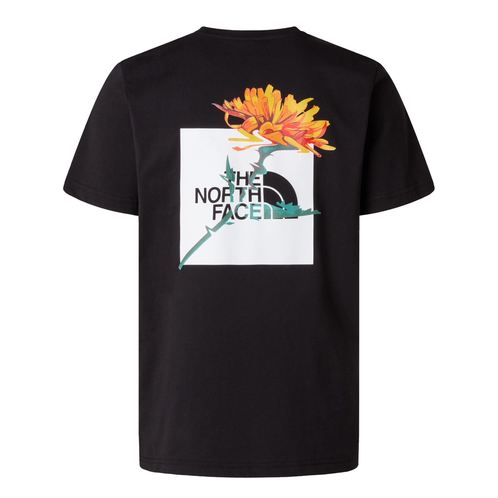 Koszulka m�ska The North Face ALPINE FLOWER czarna NF0A8F65JK3