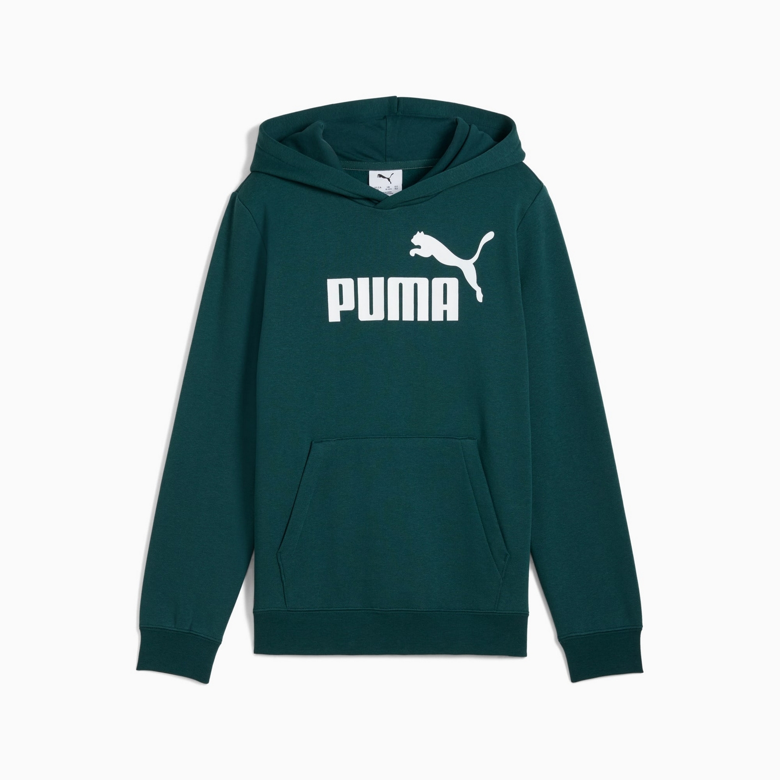 Bluza z kapturem chopica Puma ESS NO.1 LOGO FL zielona 68490875