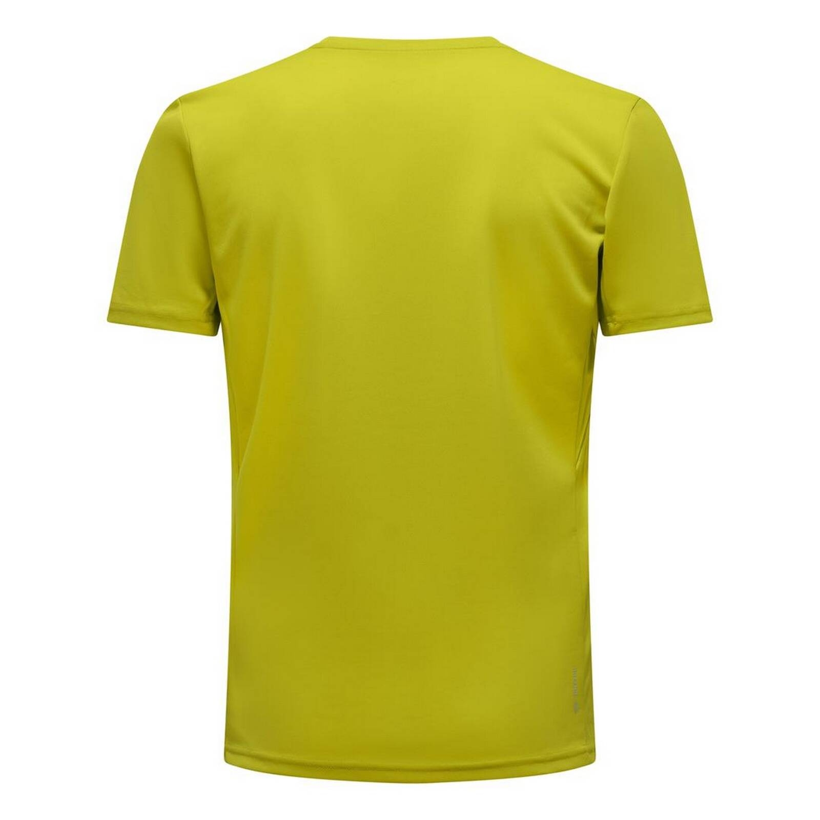 Koszulka mska Salewa SPORTY B 4 DRY zielona 00-0000027835_5800