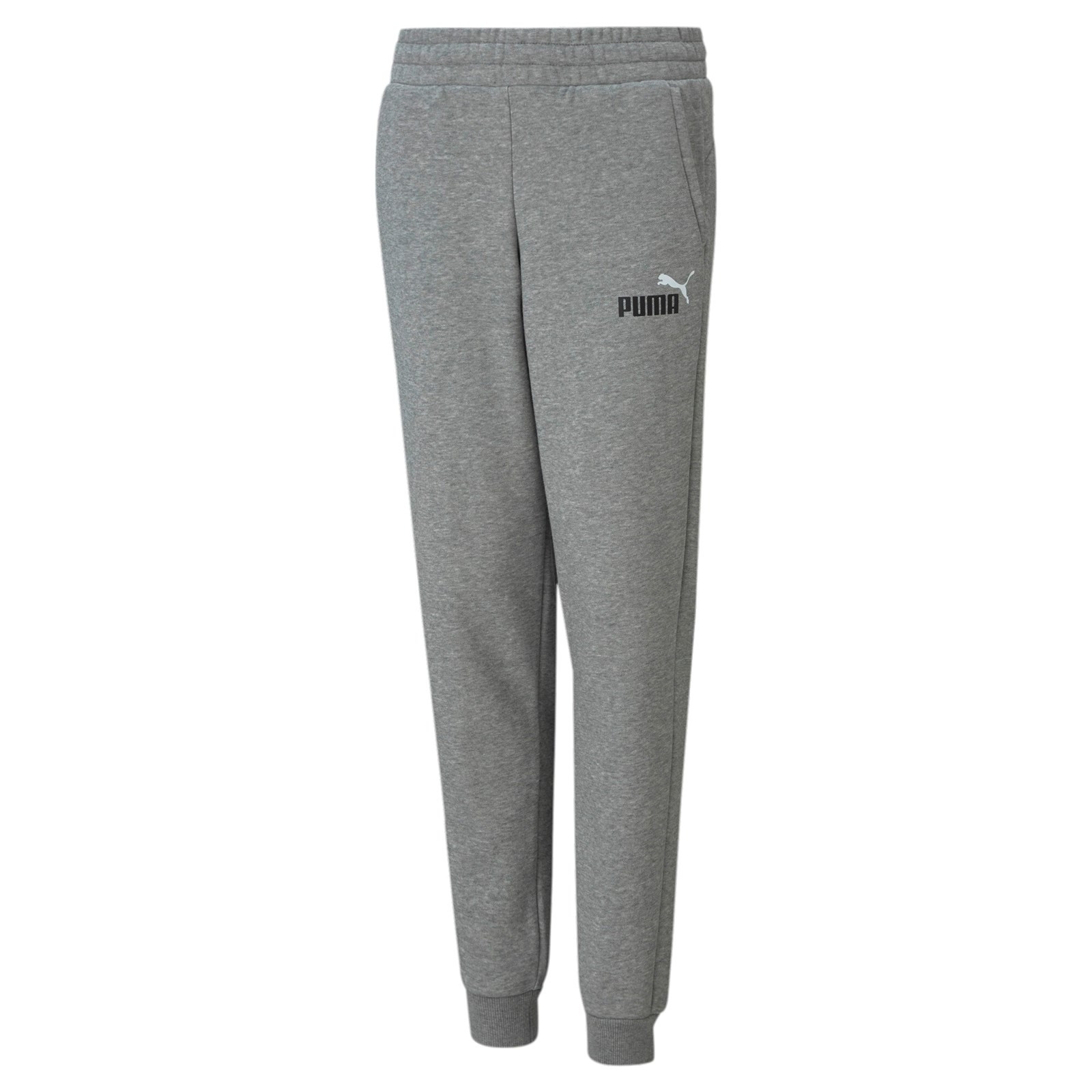 Spodnie dresowe chopice Puma ESS+ 2 COL LOGO FL szare 58698803