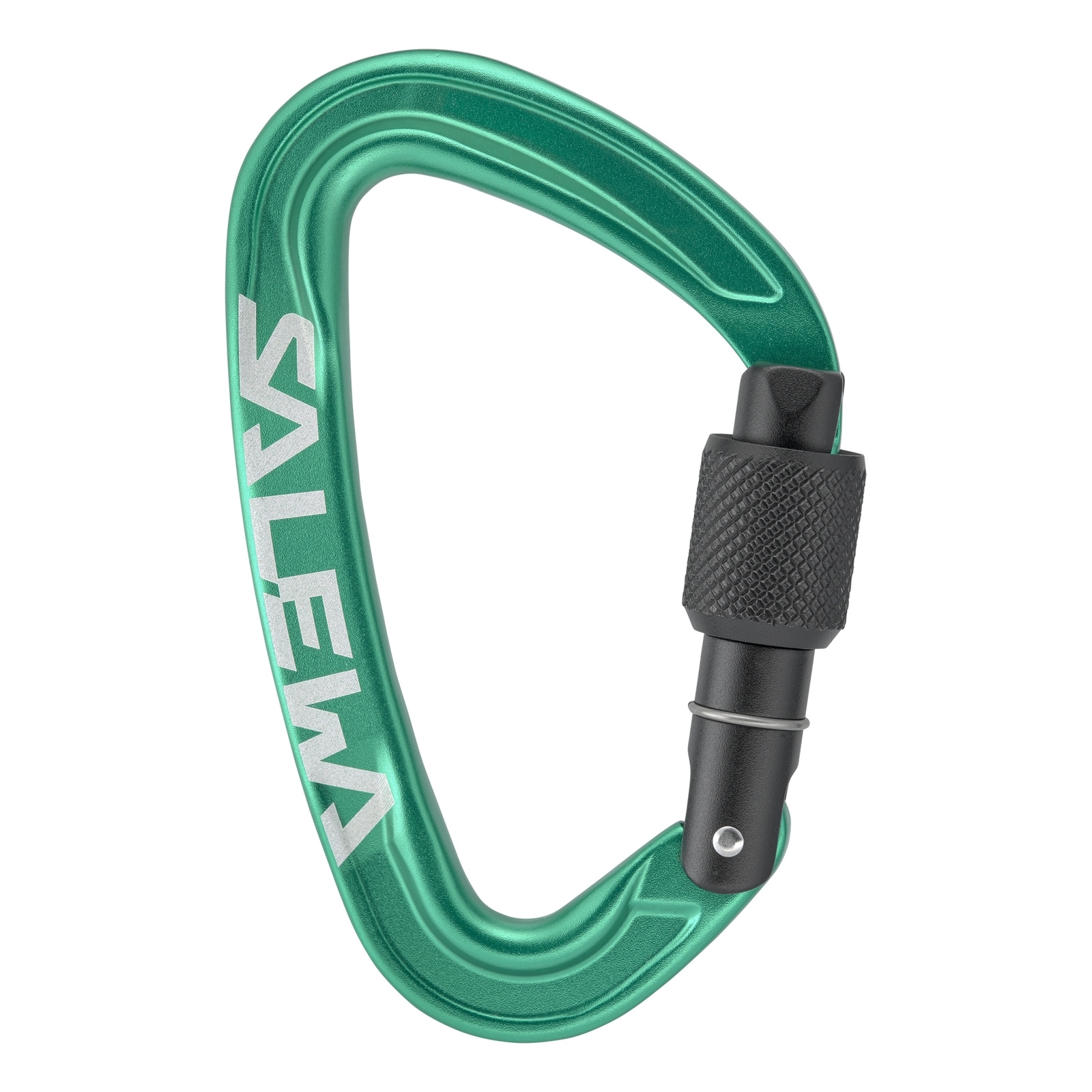 Karabinek wspinaczkowy unisex Salewa ORTLES SCREW zielony 00-0000072005_5210