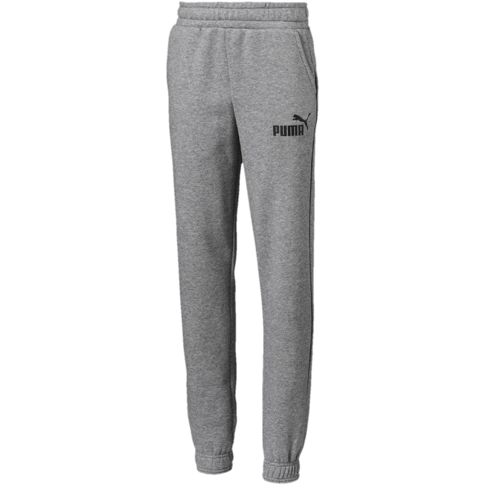 Spodnie dresowe chopice Puma ESSENTIAL LOGO FL B szare 85210703