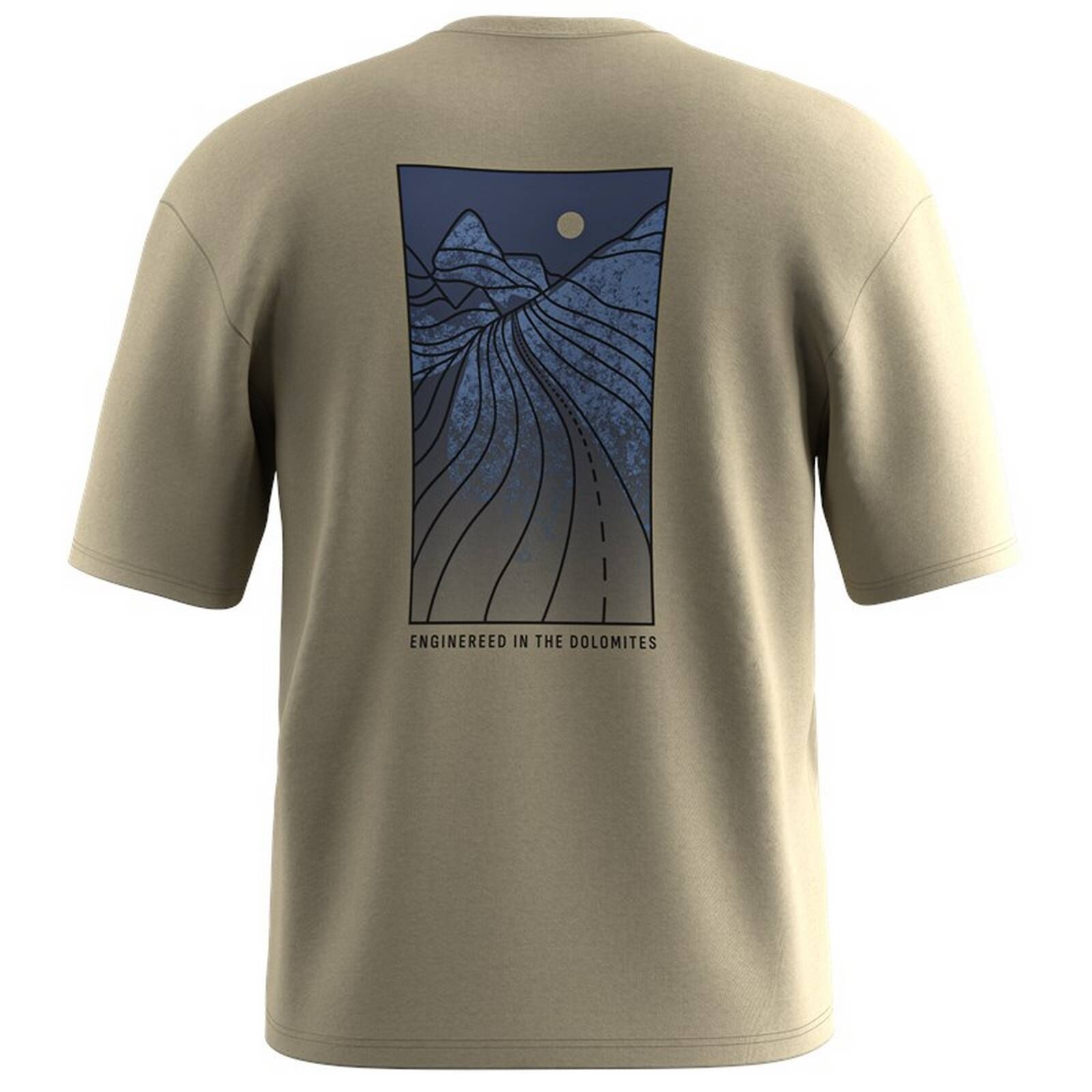Koszulka mska Salewa EAGLE SUNSET LOOSE beowa 00-0000029150_7180
