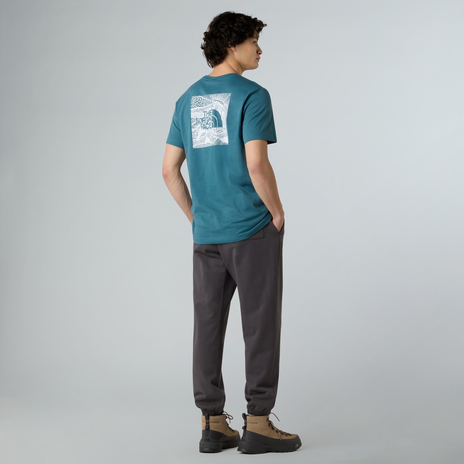 Koszulka mska The North Face REDBOX CELEBRATION niebieska NF0A87NVBQ5