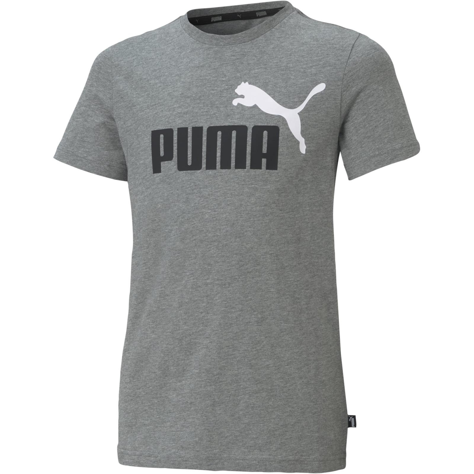 Koszulka chopica Puma ESSENTIALS+ 2 COL LOGO szara 58698503