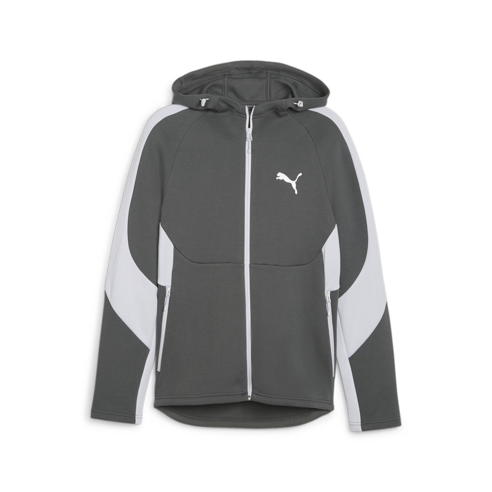 Bluza z kapturem mska Puma EVOSTRIPE FZ DK szara 67899580
