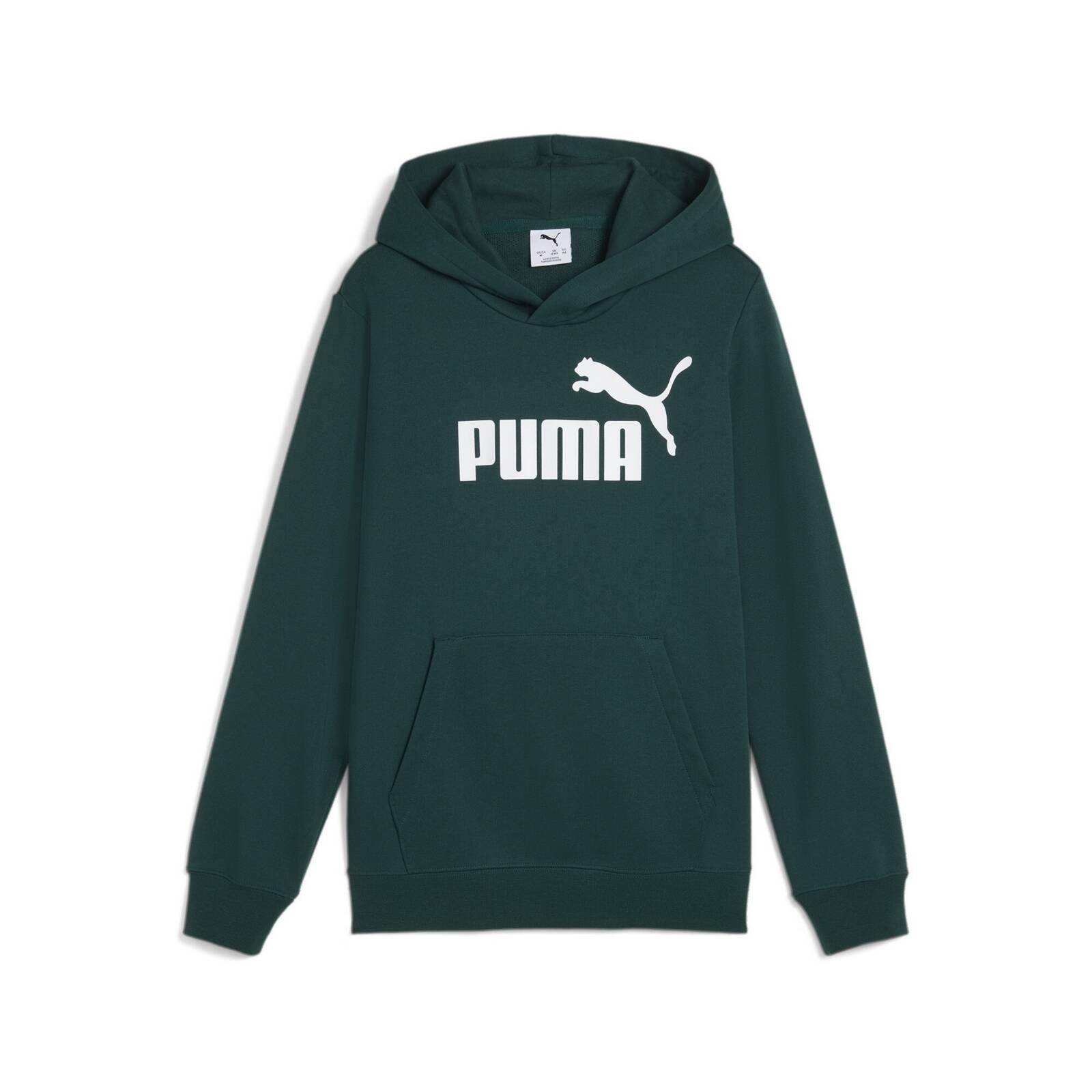 Bluza z kapturem chopica Puma ESS NO.1 LOGO TR zielona 68490960