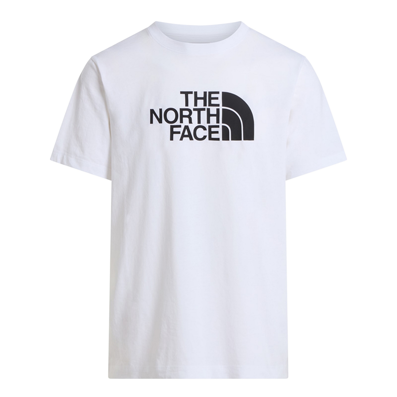 Koszulka m�ska The North Face EVOLUTION HALF DOME bia�a NF0A8B6JLA9