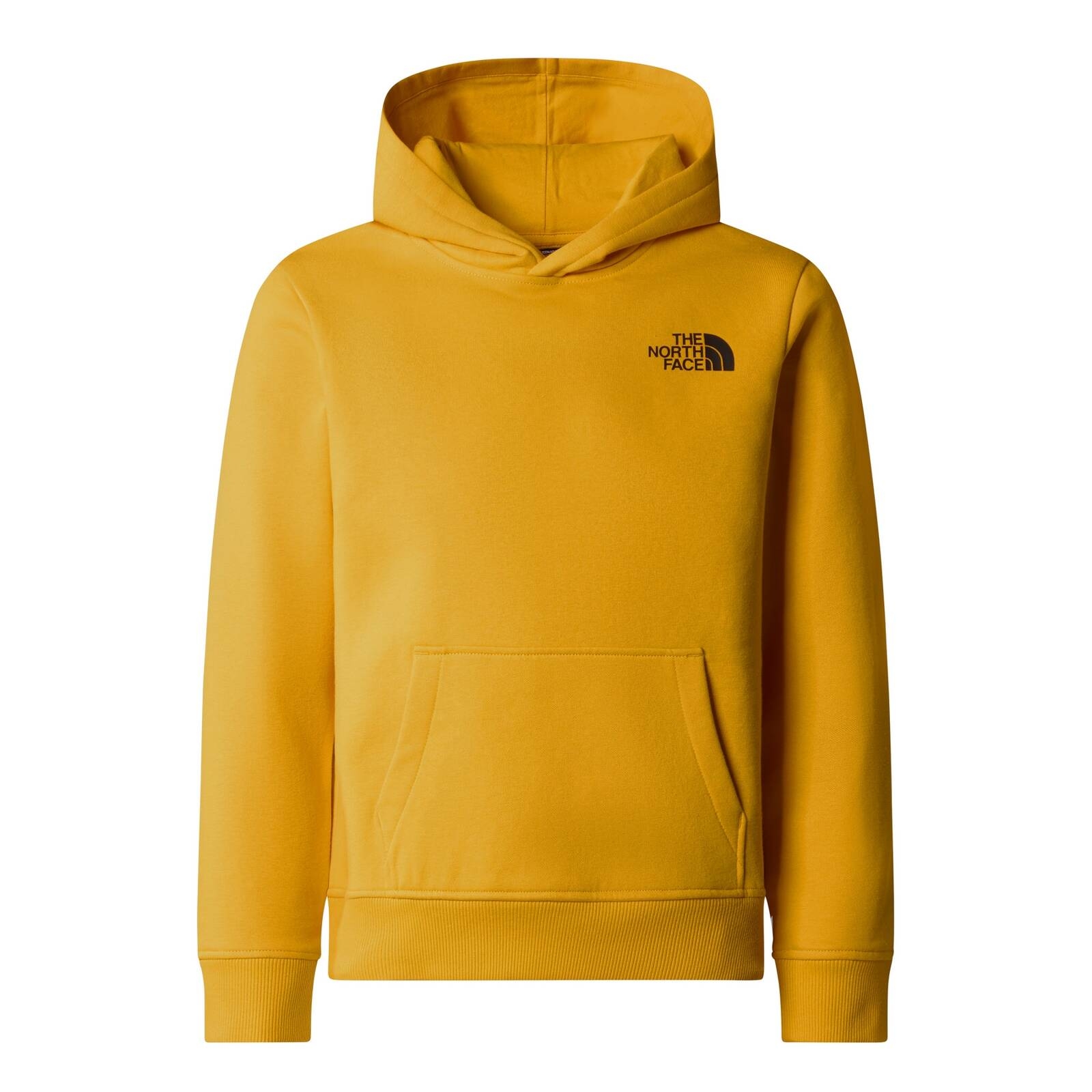 Bluza z kapturem dziecica The North Face REDBOX REGULAR ta NF0A89H956P