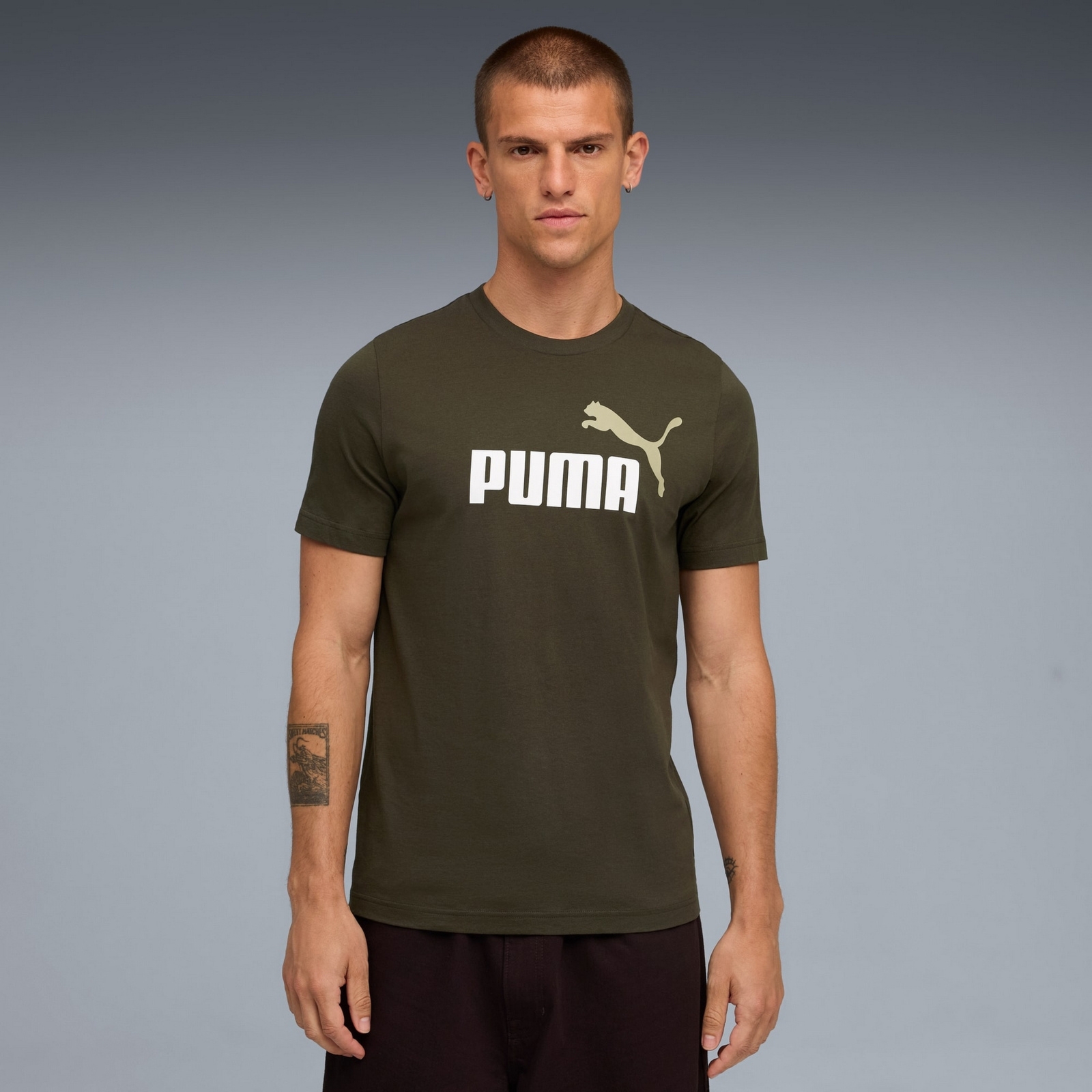 Koszulka m�ska Puma ESS 2 COLOR NO.1 LOGO zielona 68470870