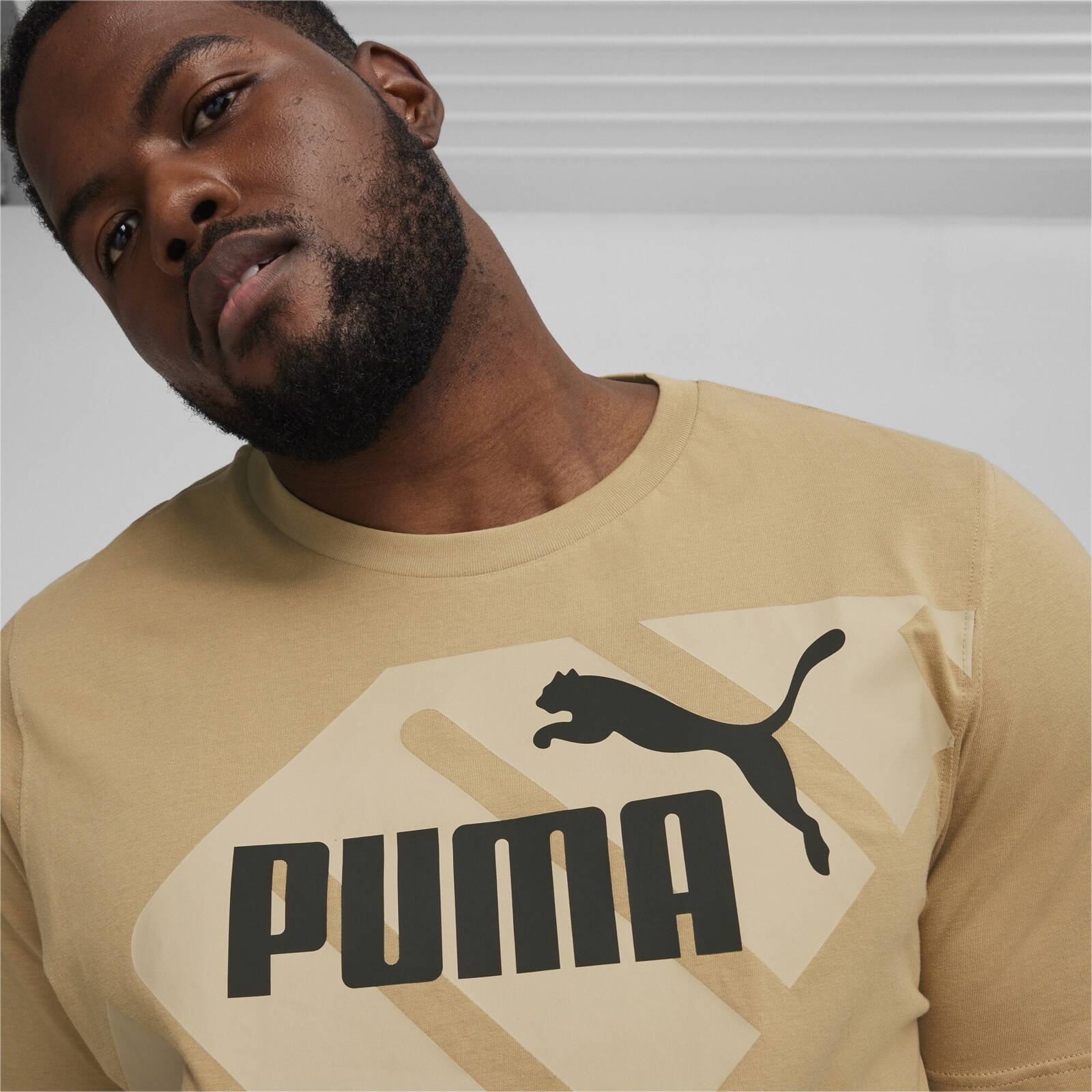 Koszulka mska Puma POWER GRAPHIC beowa 67896083