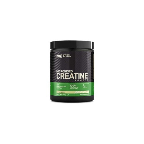 Kreatyna Creatine 317 g