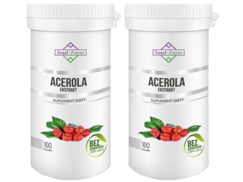 Acerola ekstrakt 60 kapsułek (600 mg)