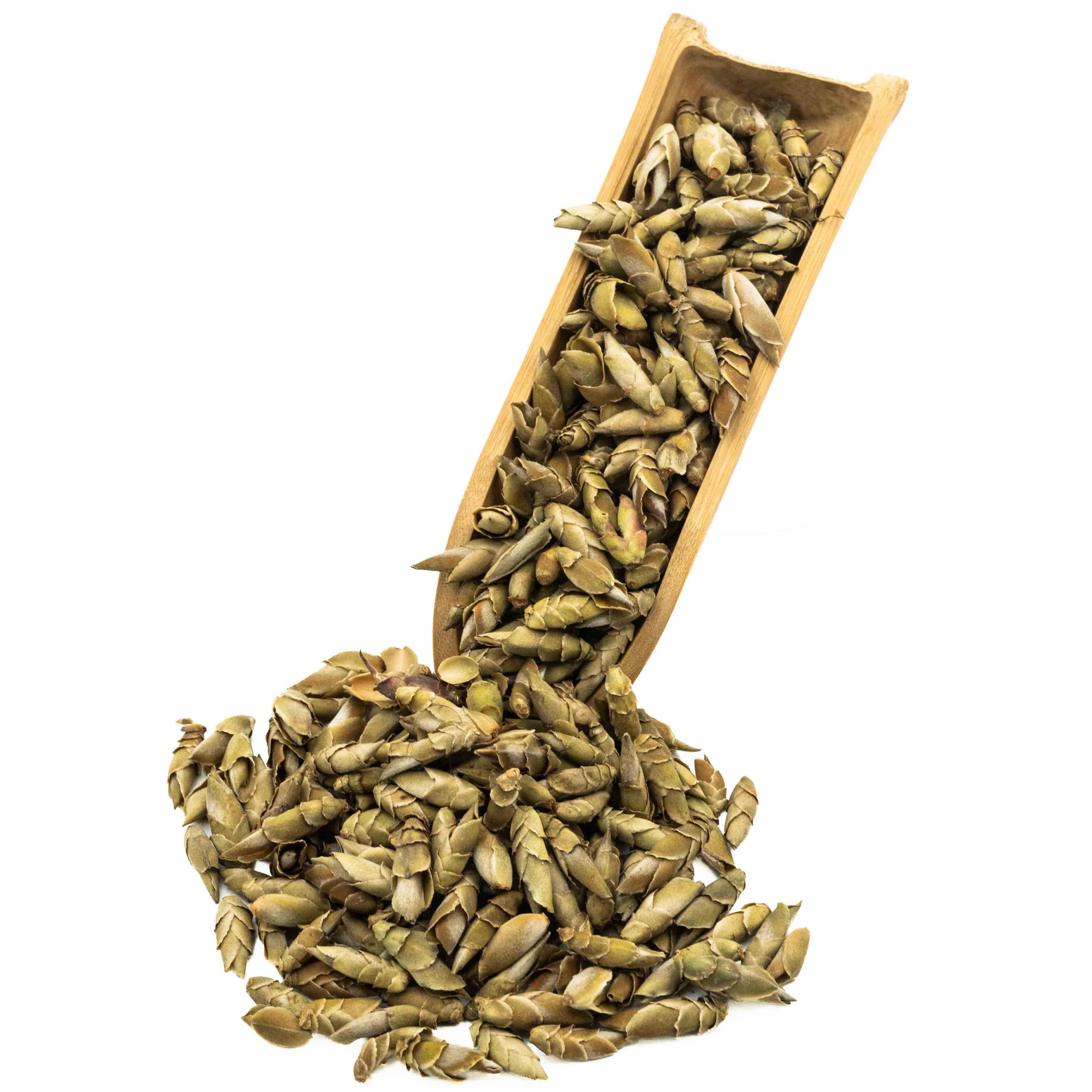 Herbata biała Hagiang Dragon Claw 2025 50 g