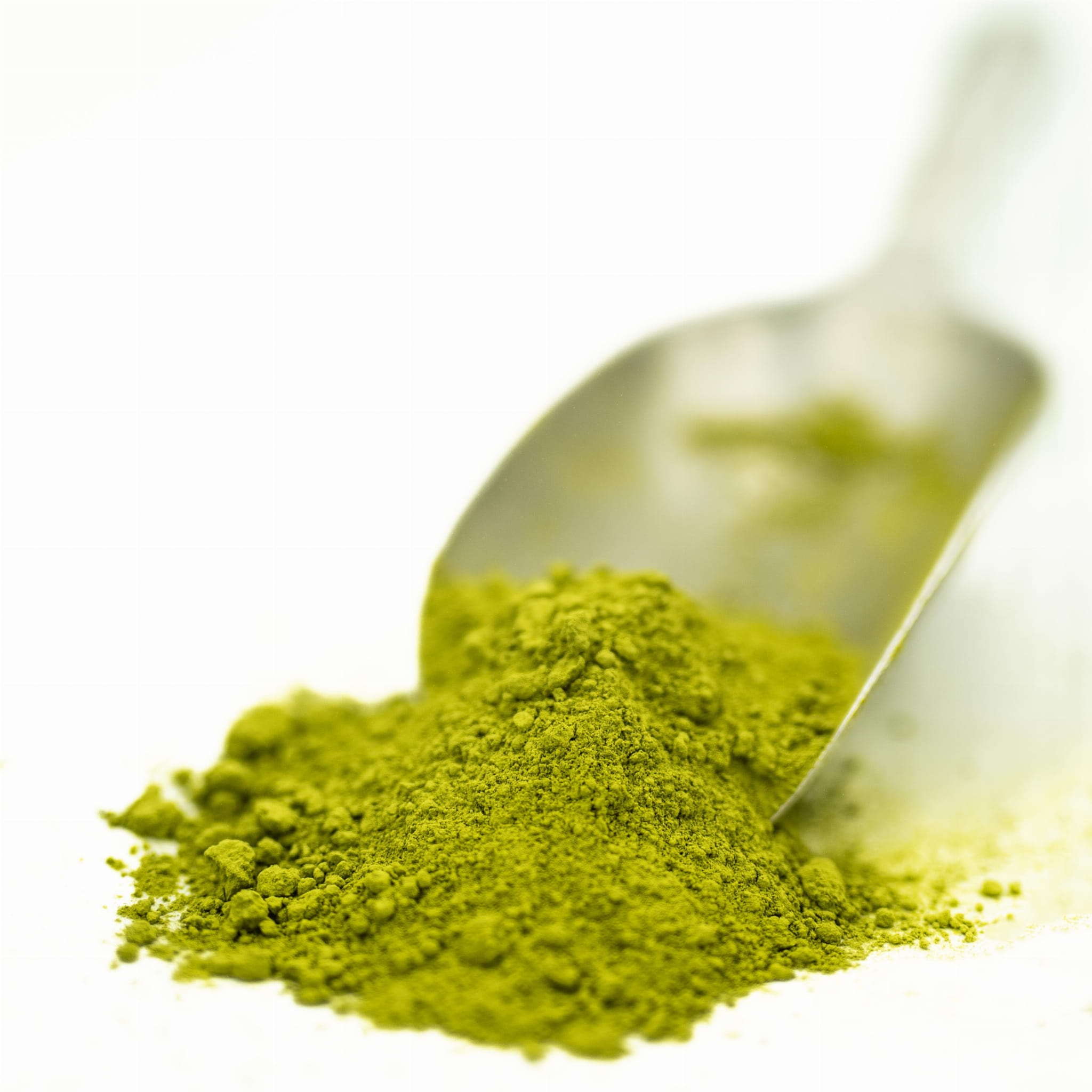 Matcha Codzienna Uji Kyoto 2026
