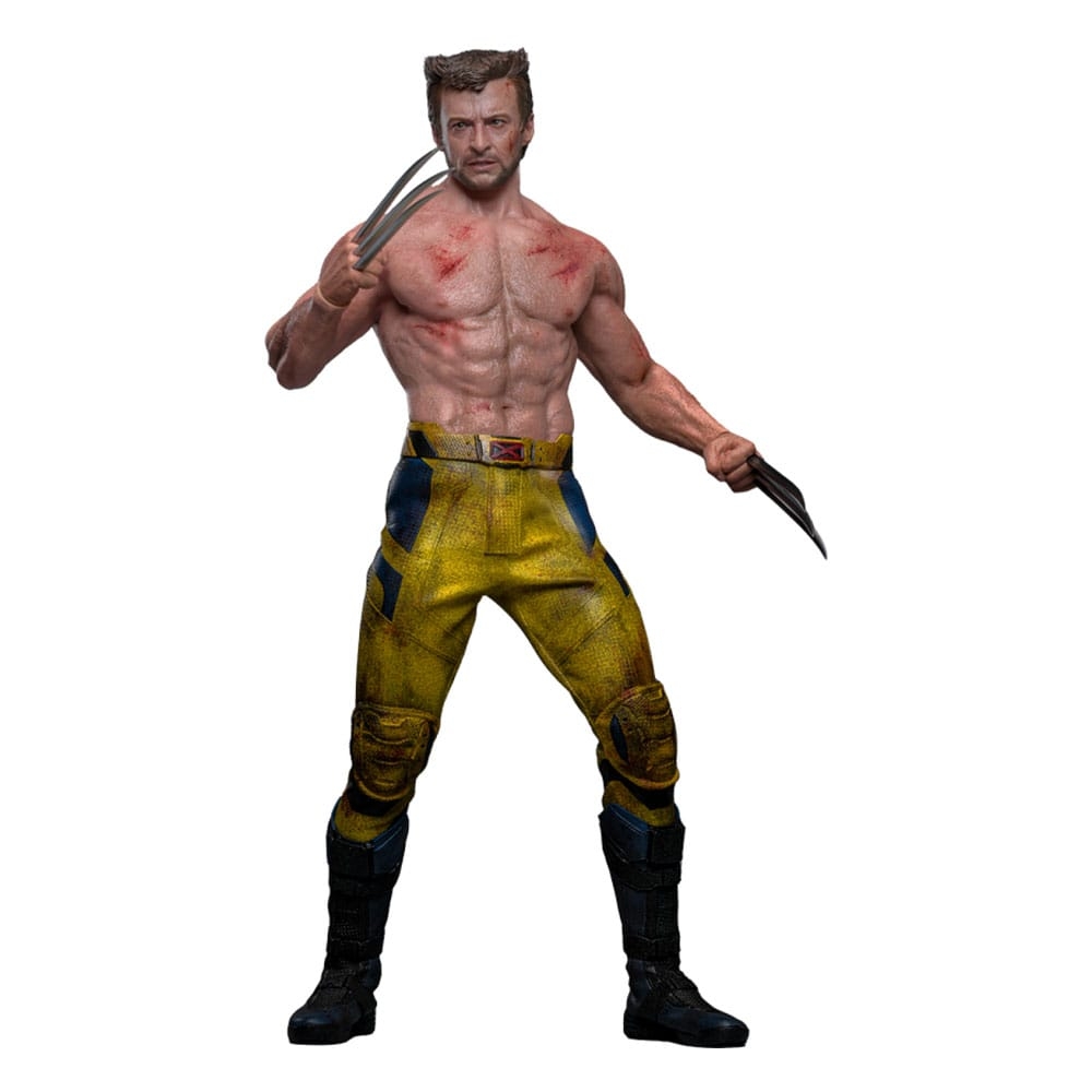 Hot toys, Figurka Deadpool &amp; Wolverine Movie Masterpiece 1/6 - Wolverine (TVA Jacket Ver.)
