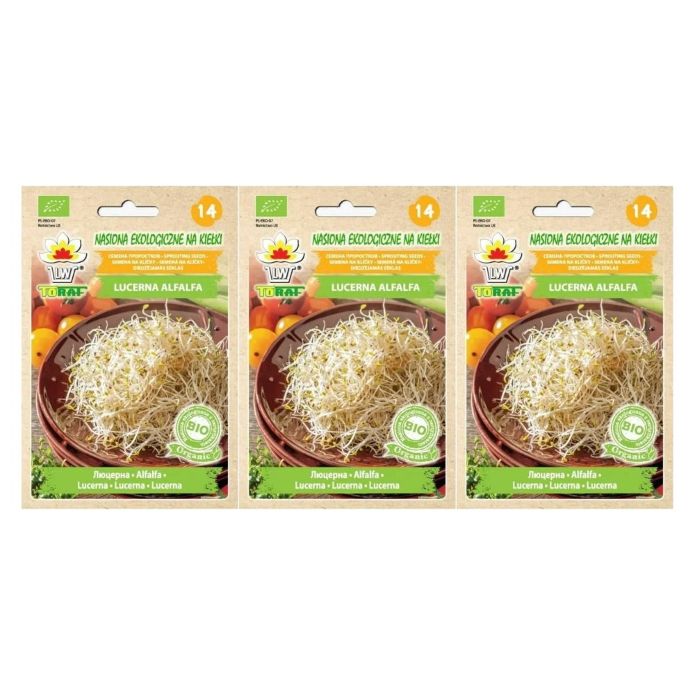 3 x BIO Nasiona na Kiełki Lucerna ALFALFA 20 g - Toraf