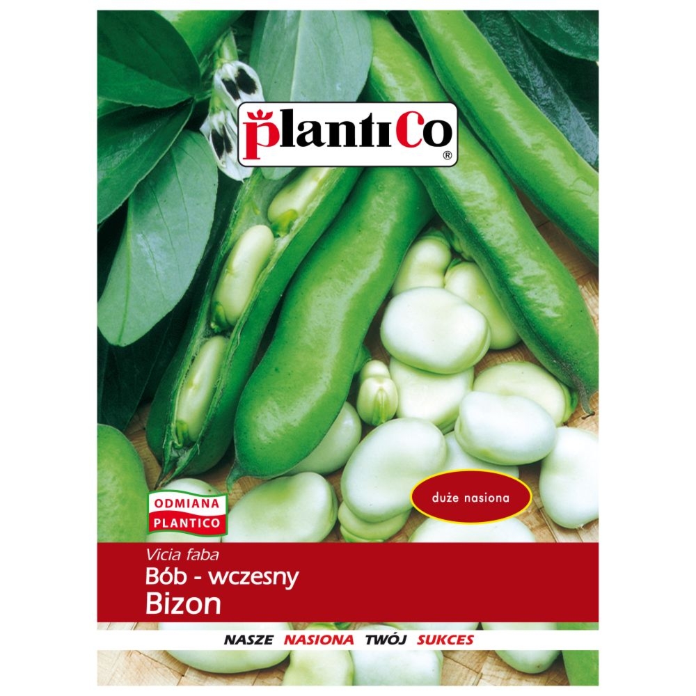 Bób Bizon Nasiona 50 g - PlantiCo