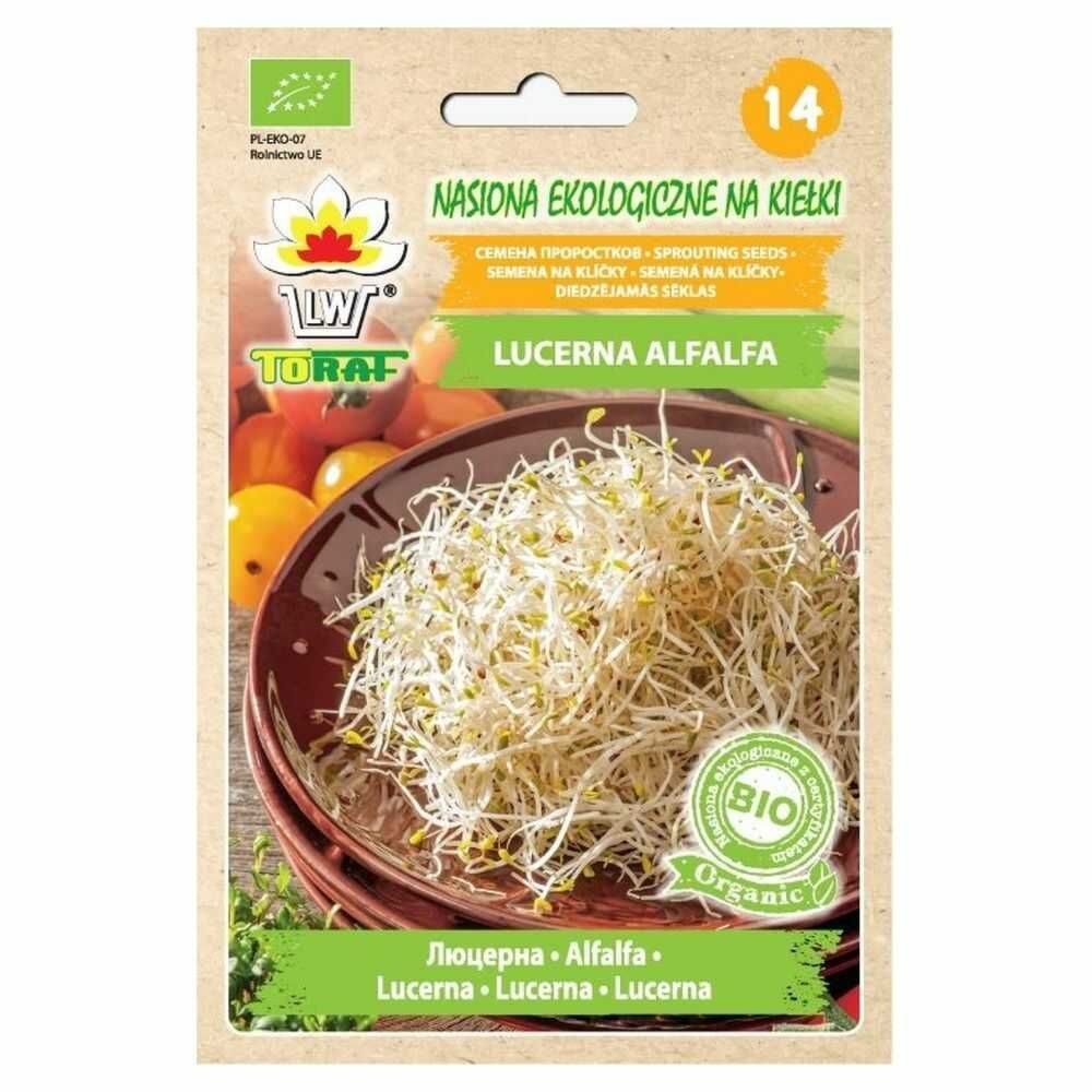 BIO Nasiona na Kiełki Lucerna ALFALFA 20 g - Toraf