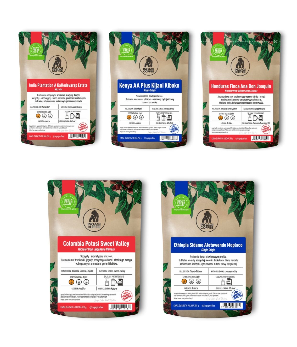 Zestaw kaw na przelew 5 sztuk