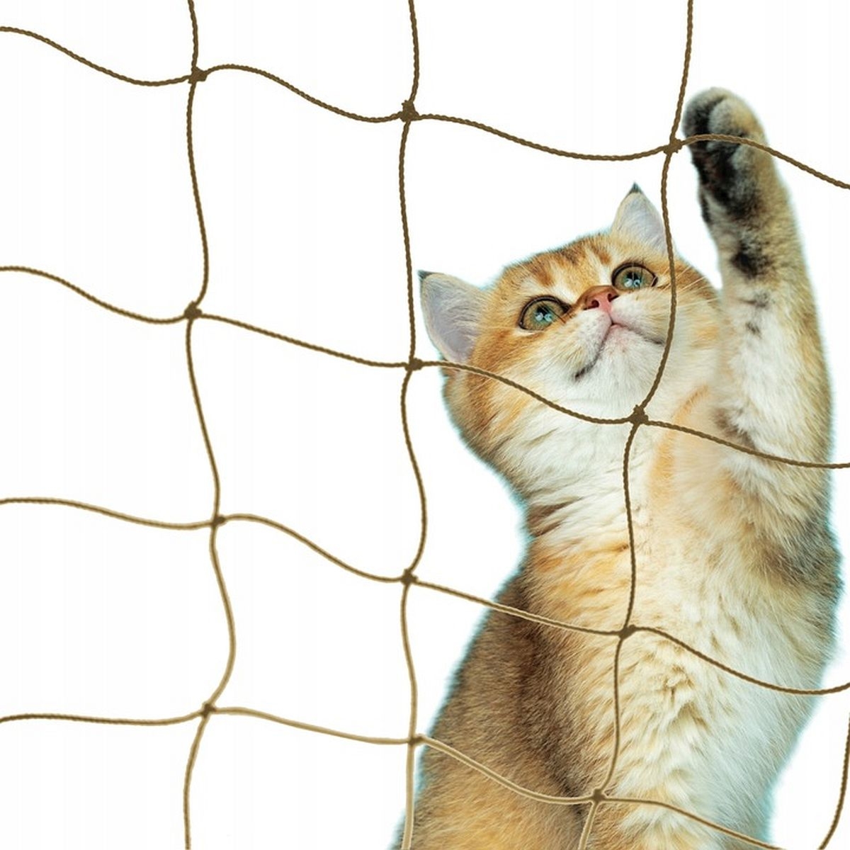 Siatka zabezpieczająca 50x50mm / 4x2m - antracyt, beżowa