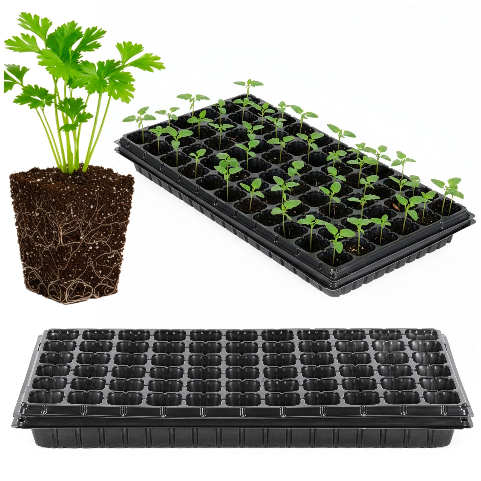 Wielodoniczka do sadzonek, paleta rozsadowa 66 komórek z tacką, czarna