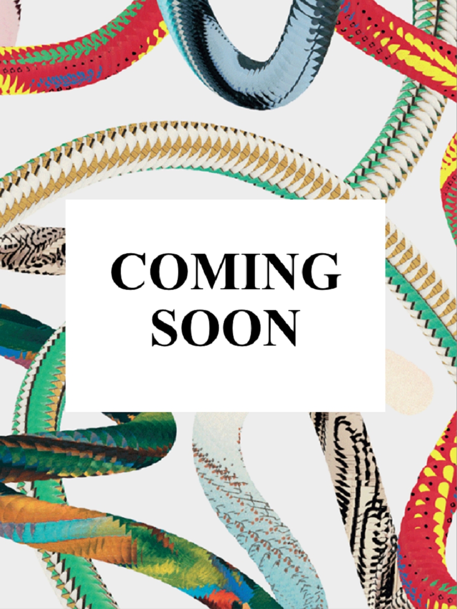 Homes For Our Time 2. Contemporary Houses around the World wer. angielska