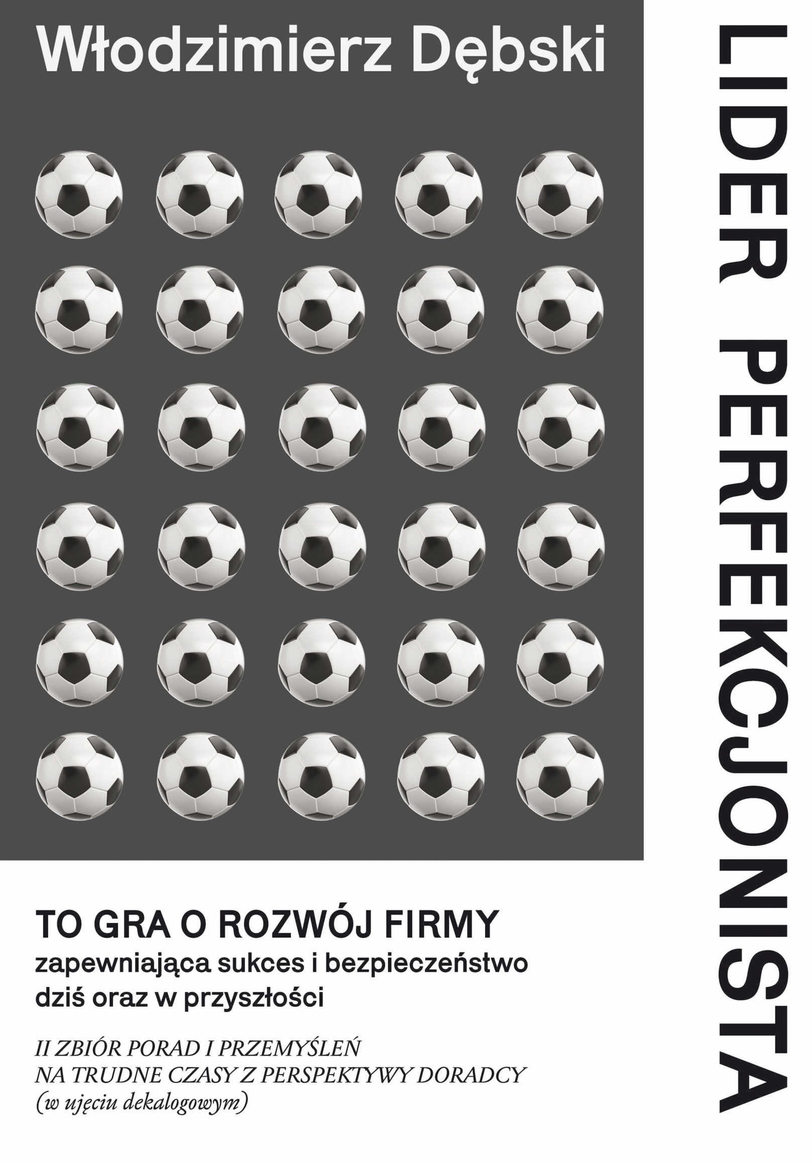 Lider perfekcjonista