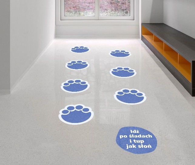 ŚLADY SŁONIA - moduł ścieżki sensorycznej