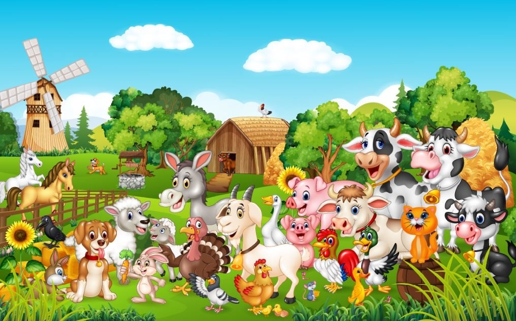 Wiejskie zwierzęta1