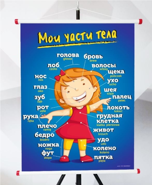 Plansza- ЧАСТИ ТЕЛА