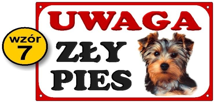 Tabliczka Uwaga zły pies - z yorkiem