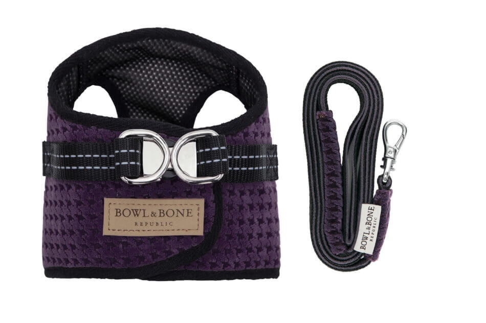 Szelki dla psa SOHO purple