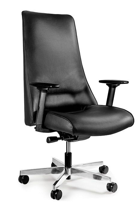 Фото - Комп'ютерне крісло Unique Uniquemeble Fotel do gabinetu, biura, Sail, skóra naturalna, czarny 