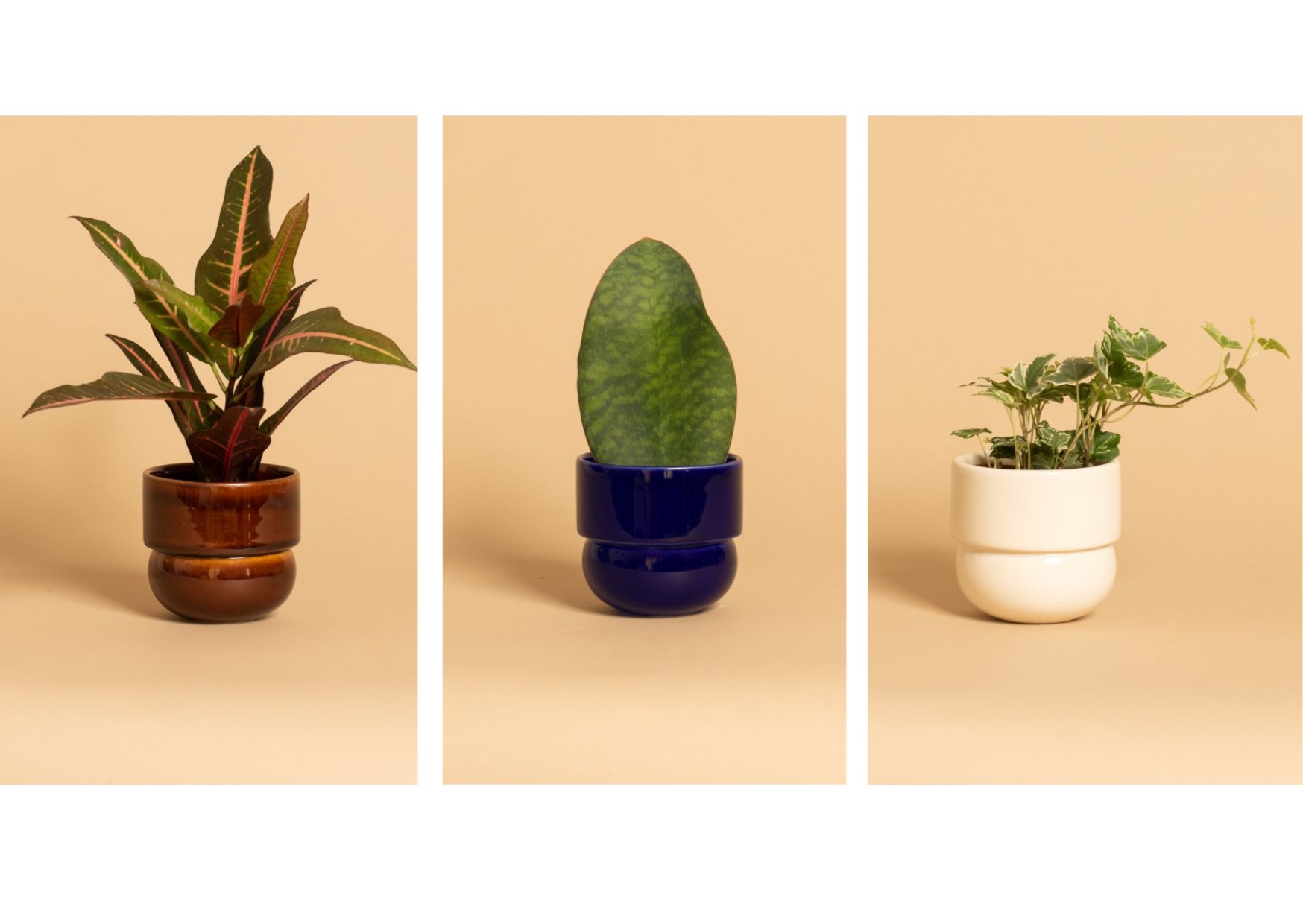 zestaw osłonek RUNO rozmiar S+S+S (miodowe + kobalt + beż)