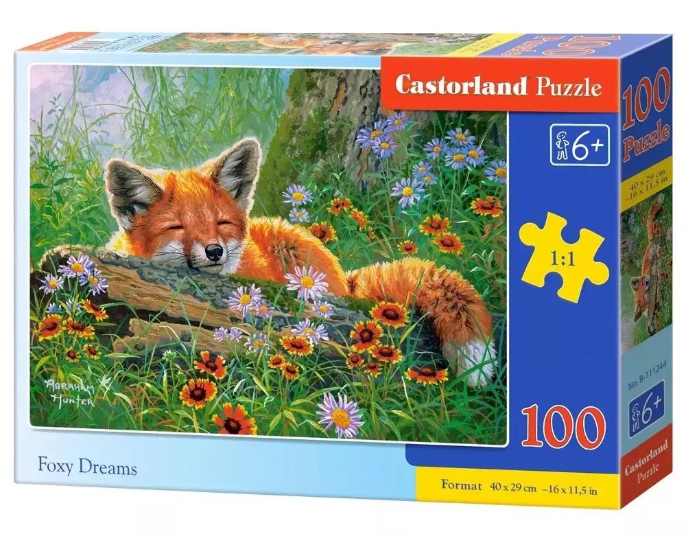 Фото - Пазли й мозаїки Castorland Puzzle 100 elementów. Foxy Dreams 