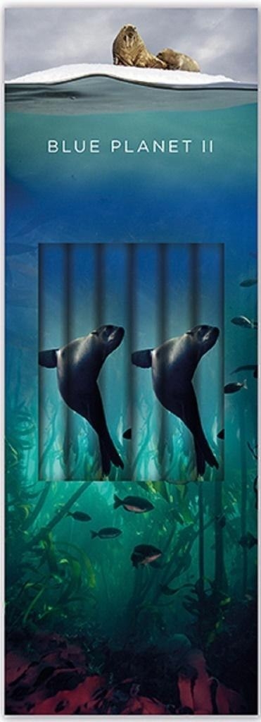 Фото - Олівці Lion Ołówek ozdobny Sea   (6szt)