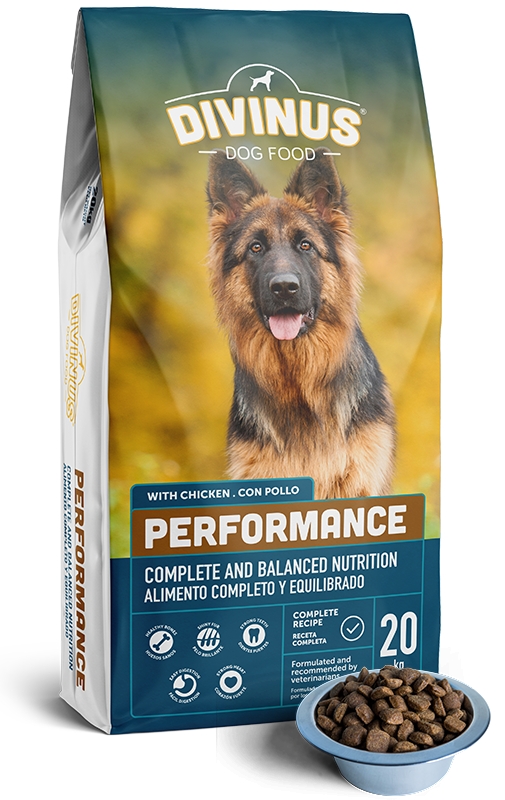 Karma dla psa DIVINUS PERFORMANCE dla psów dorosłych 20 kg