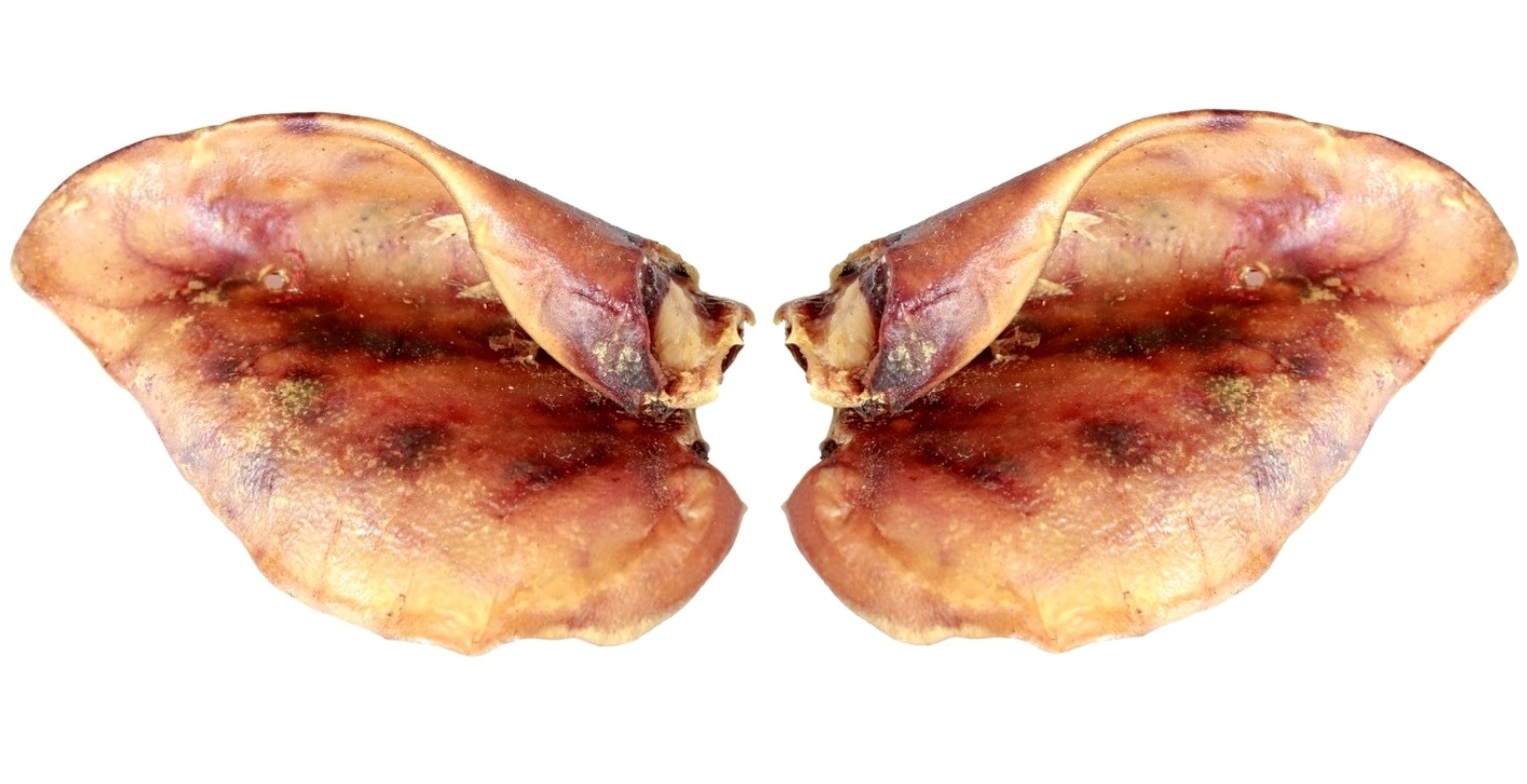 Naturalny Gryzak dla psa Ucho Wieprzowe BULT 2 szt