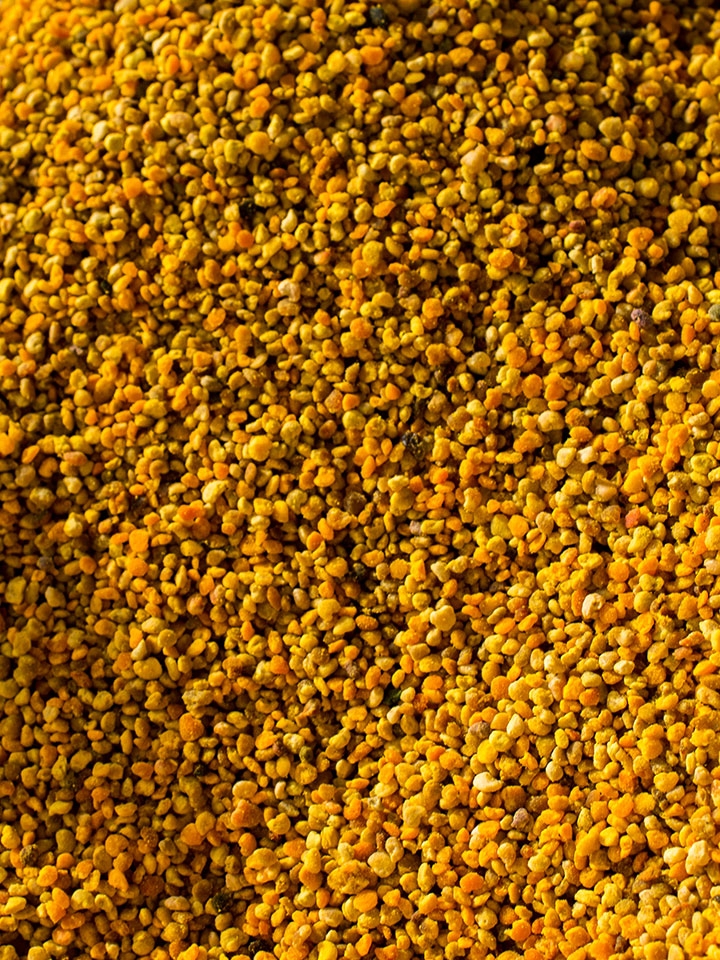 Propolis (kit pszczeli) 100g - świeży