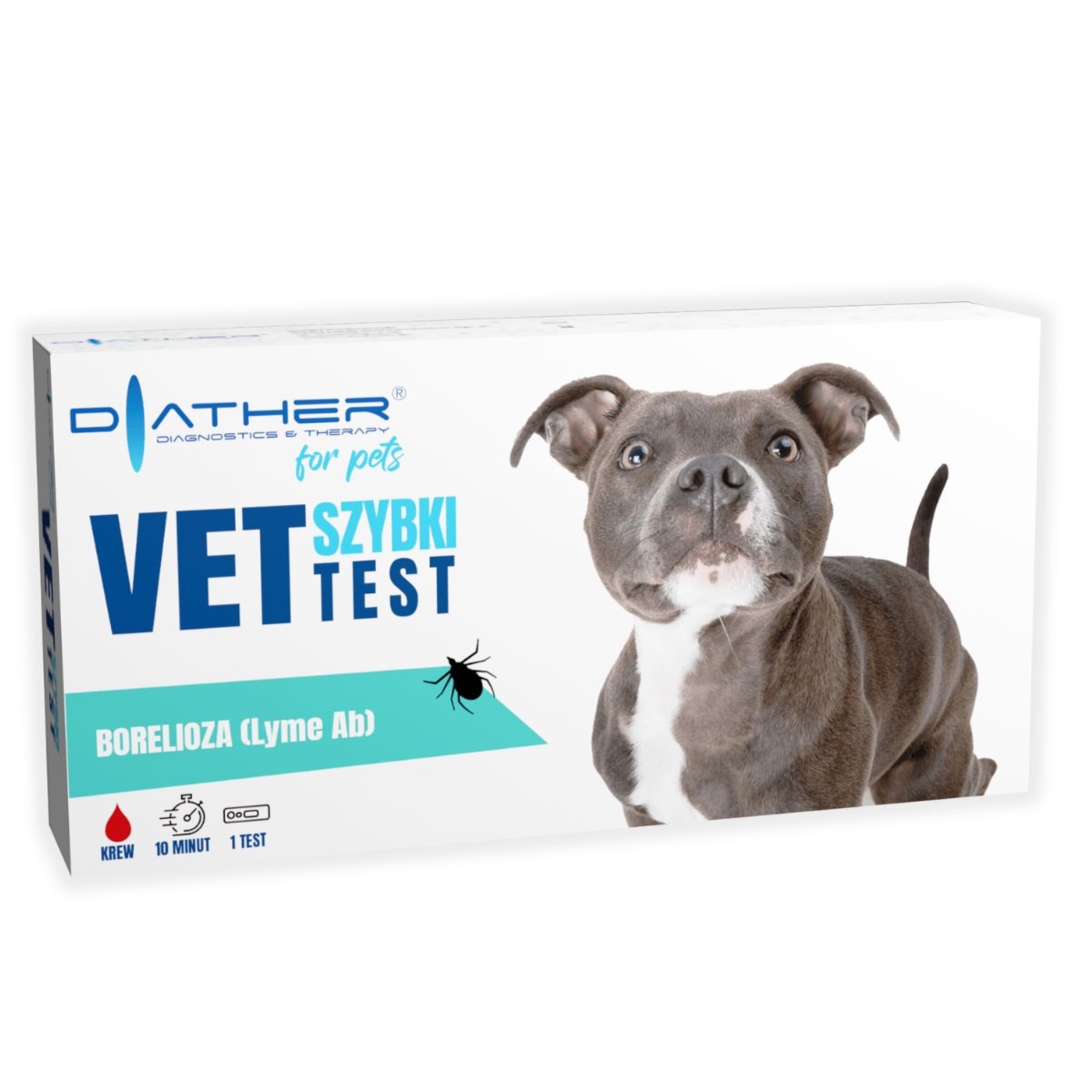 Diather - VET-TEST - Borelioza (Lyme Ab)