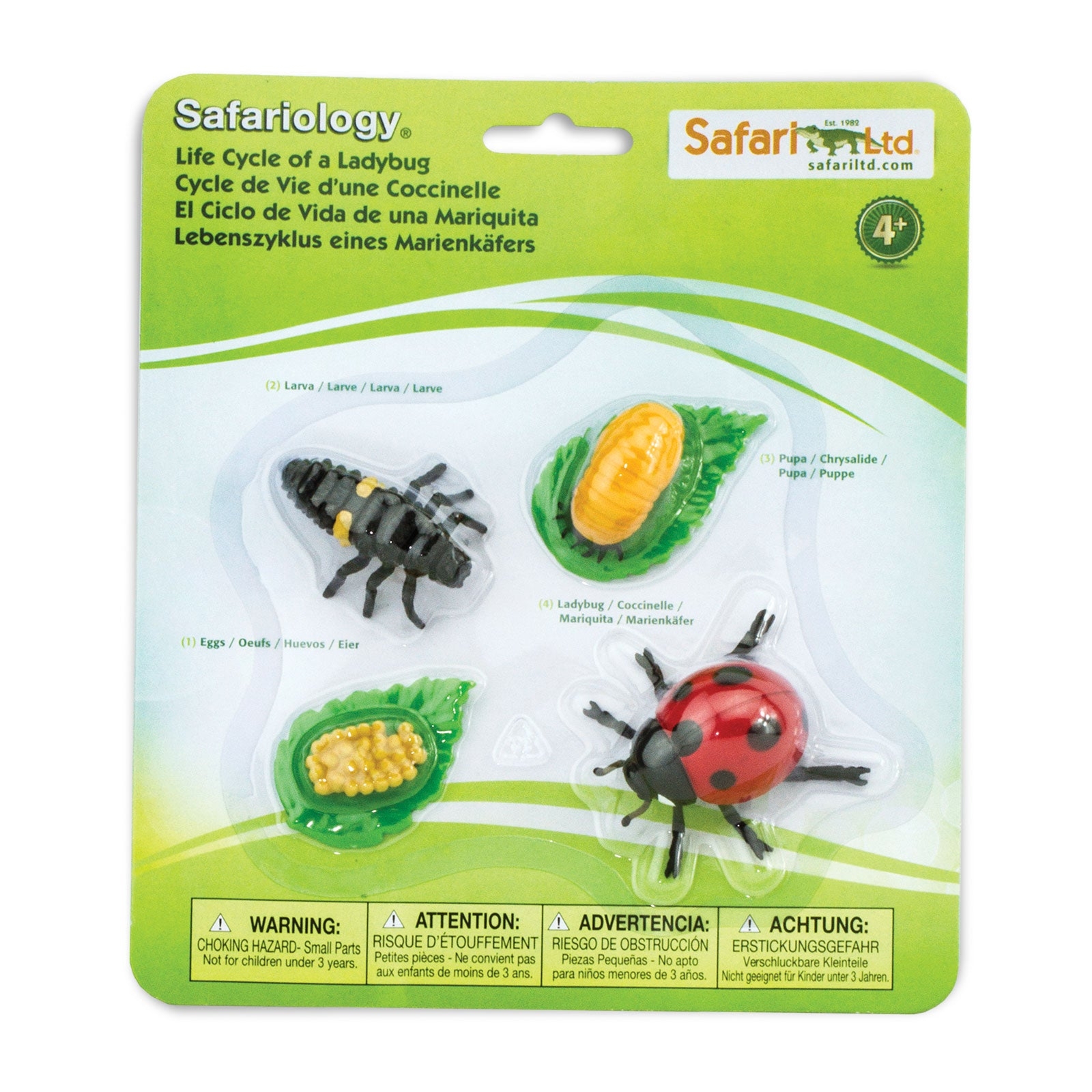 Cykl życia biedronki zestaw figurek Safari Ltd.