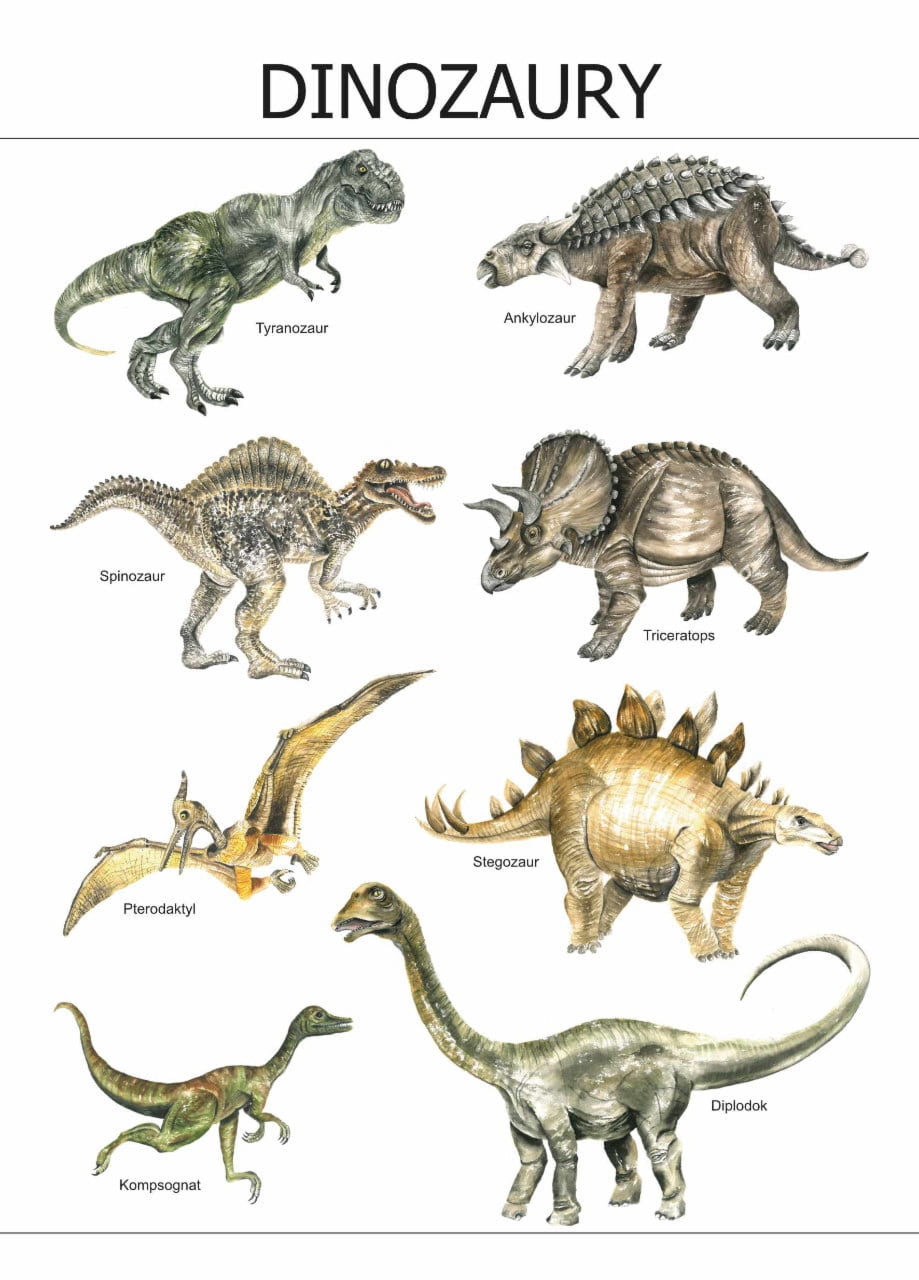 Plakat edukacyjny Dinozaury