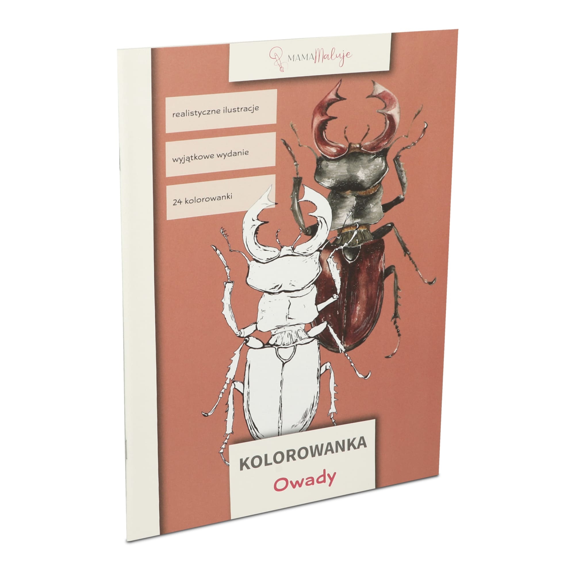 Kolorowanka dla dzieci Owady