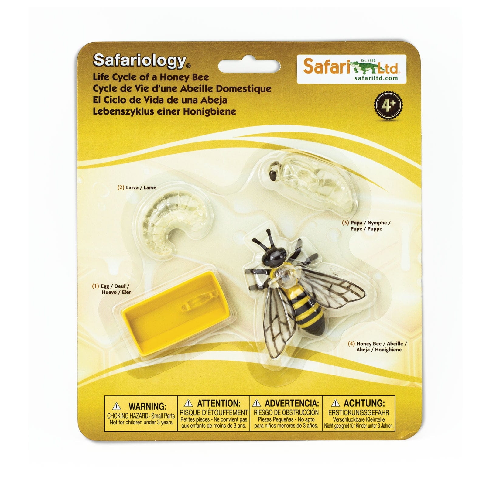 Cykl życia pszczoły zestaw figurek Safari Ltd.
